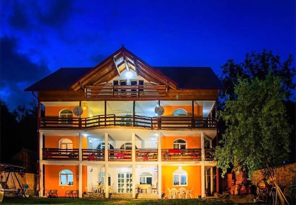 Casa Cristalina&Dumi Pension Albac Buitenkant foto