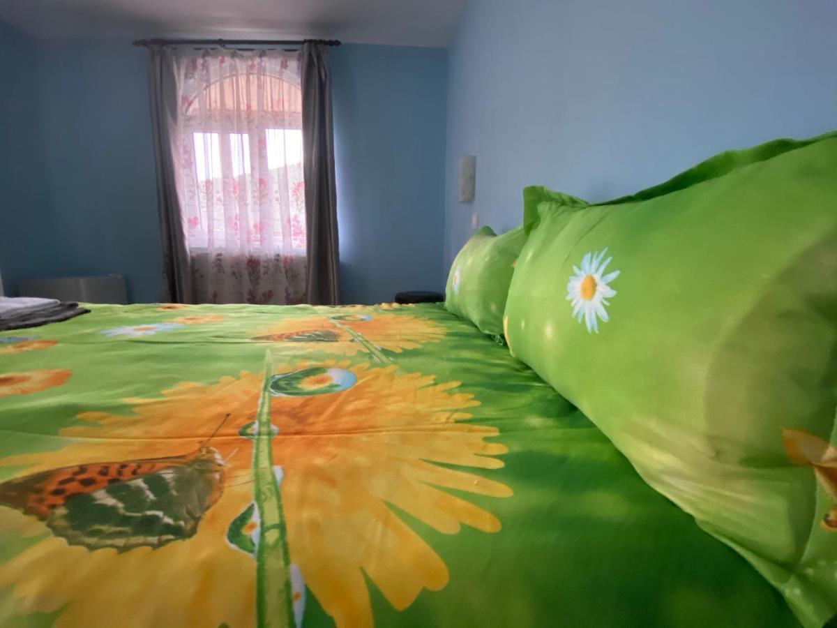 Casa Cristalina&Dumi Pension Albac Buitenkant foto