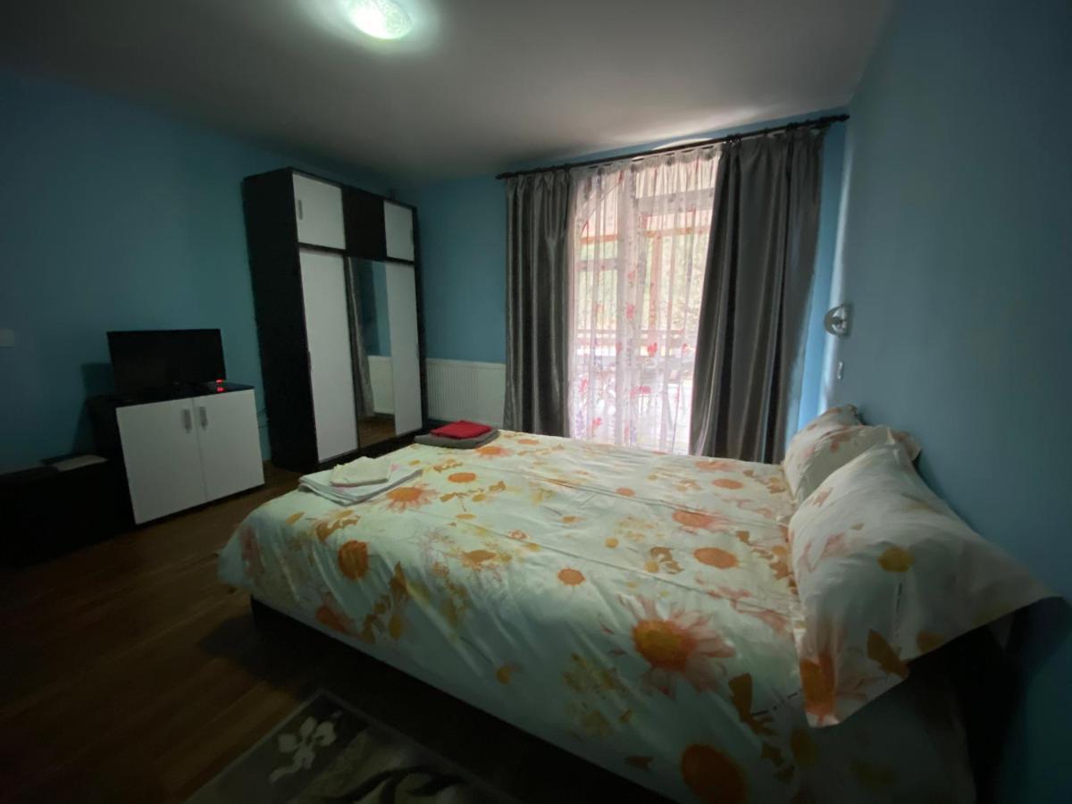 Casa Cristalina&Dumi Pension Albac Buitenkant foto