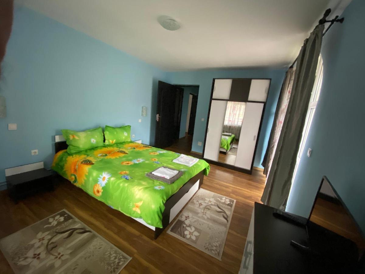 Casa Cristalina&Dumi Pension Albac Buitenkant foto