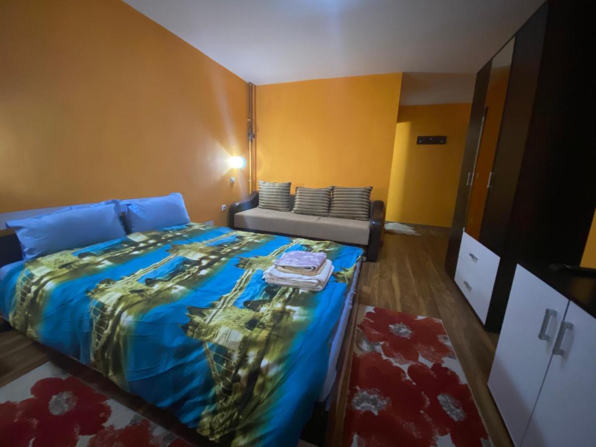 Casa Cristalina&Dumi Pension Albac Buitenkant foto