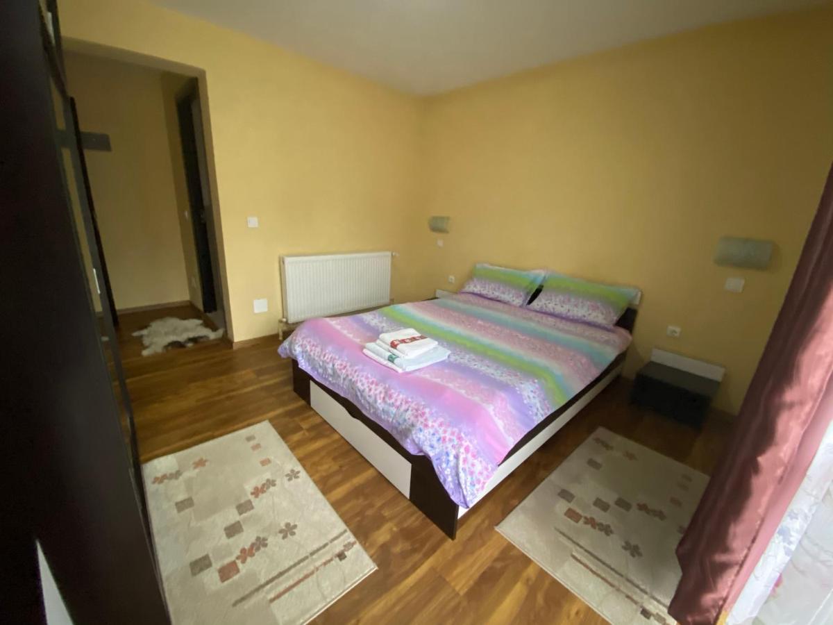 Casa Cristalina&Dumi Pension Albac Buitenkant foto
