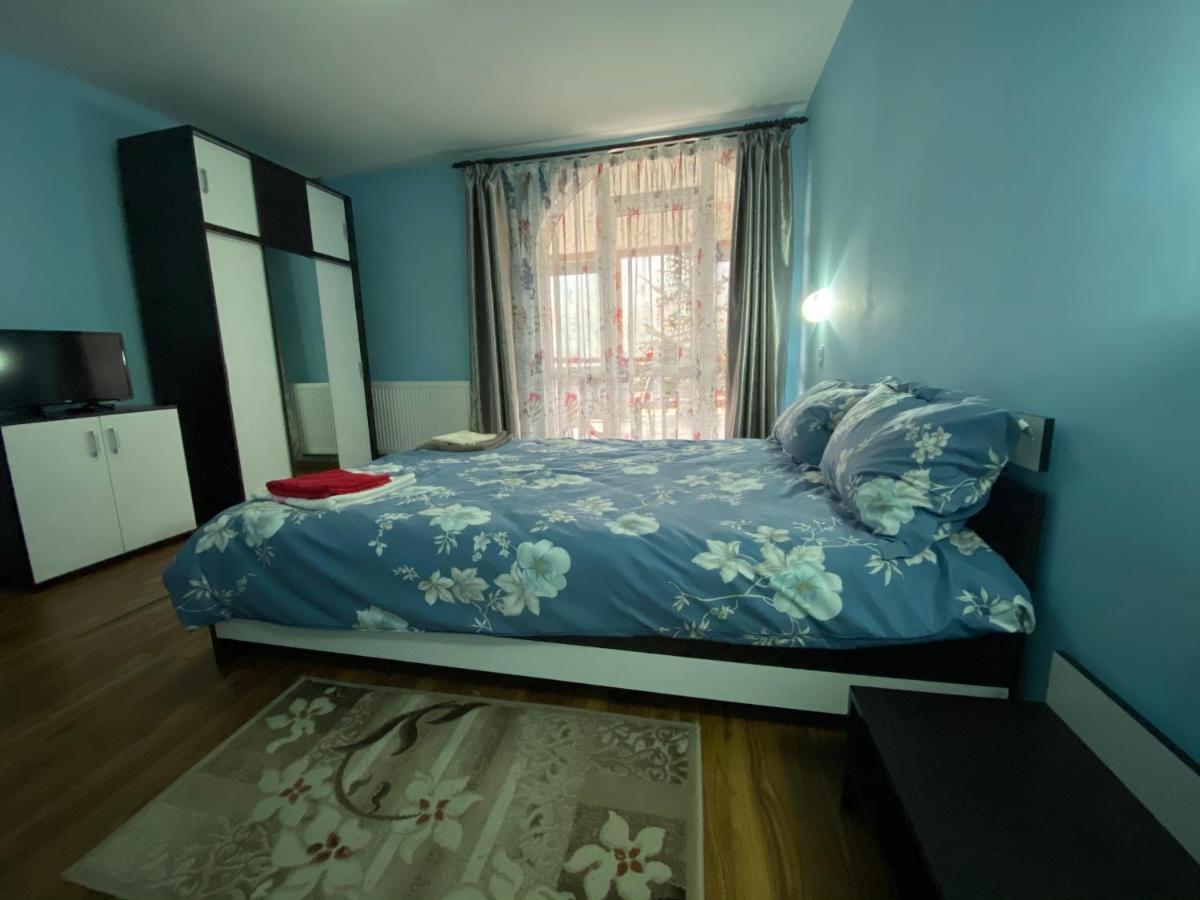 Casa Cristalina&Dumi Pension Albac Buitenkant foto