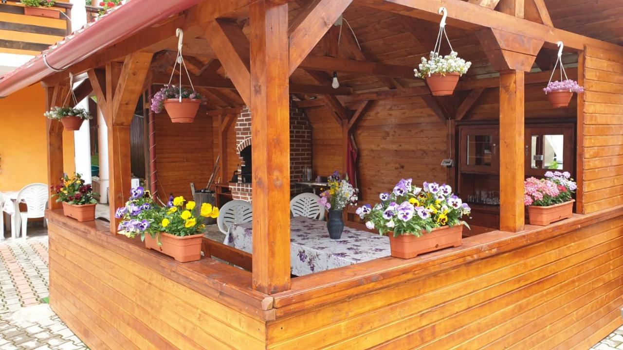 Casa Cristalina&Dumi Pension Albac Buitenkant foto