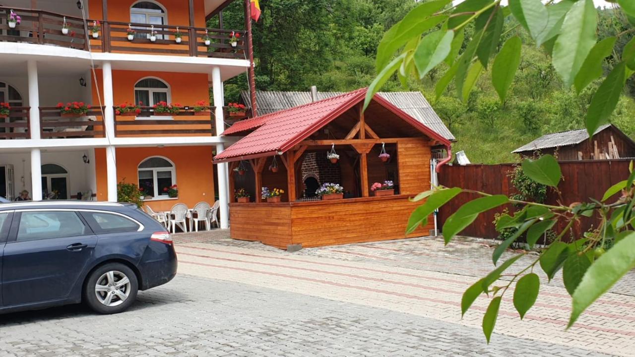 Casa Cristalina&Dumi Pension Albac Buitenkant foto