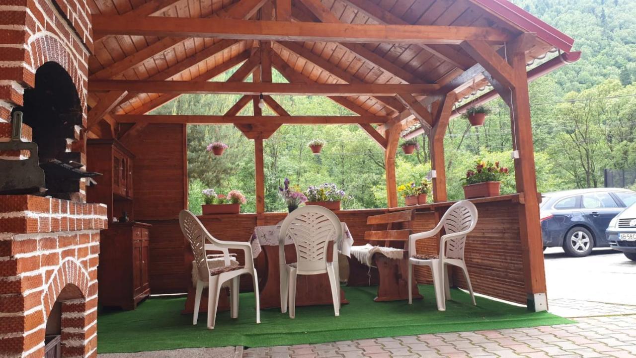 Casa Cristalina&Dumi Pension Albac Buitenkant foto