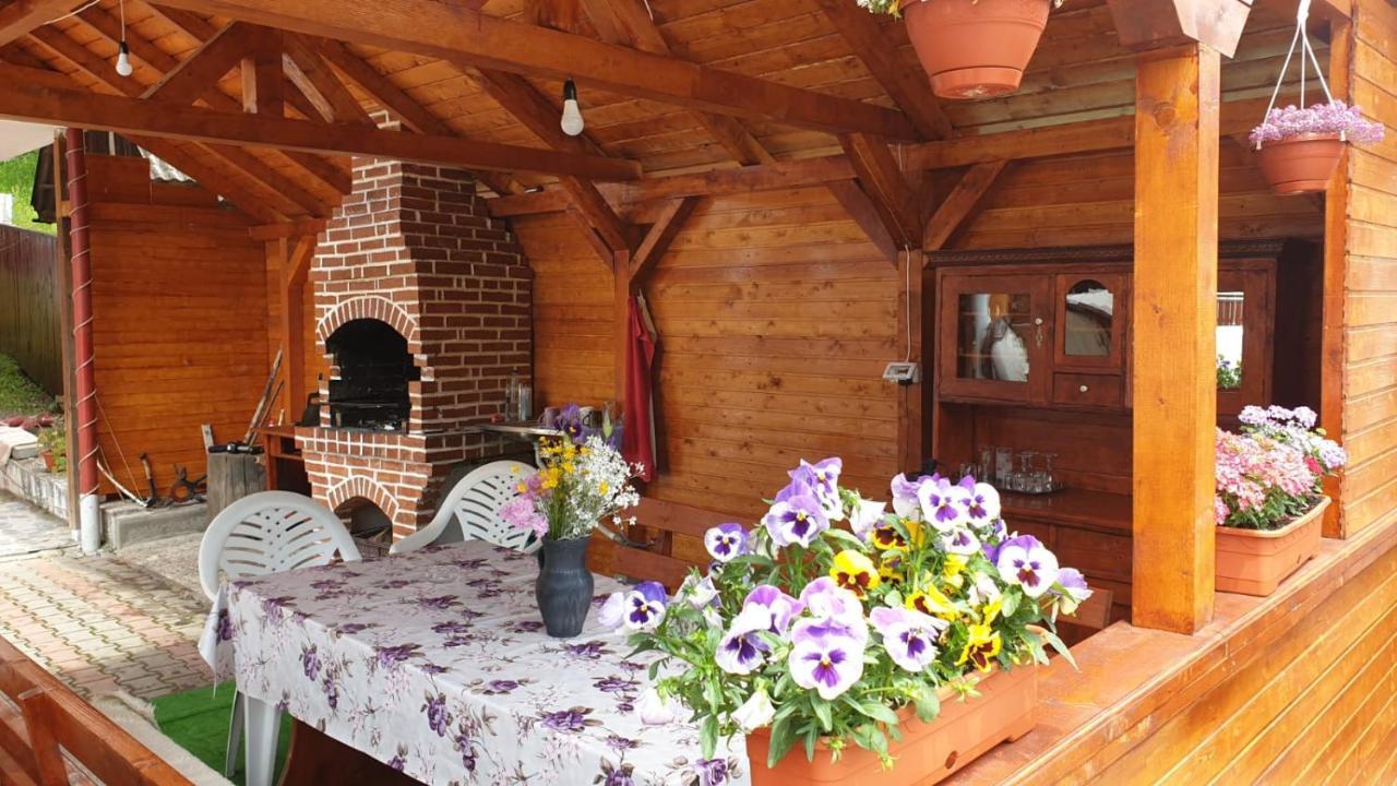 Casa Cristalina&Dumi Pension Albac Buitenkant foto
