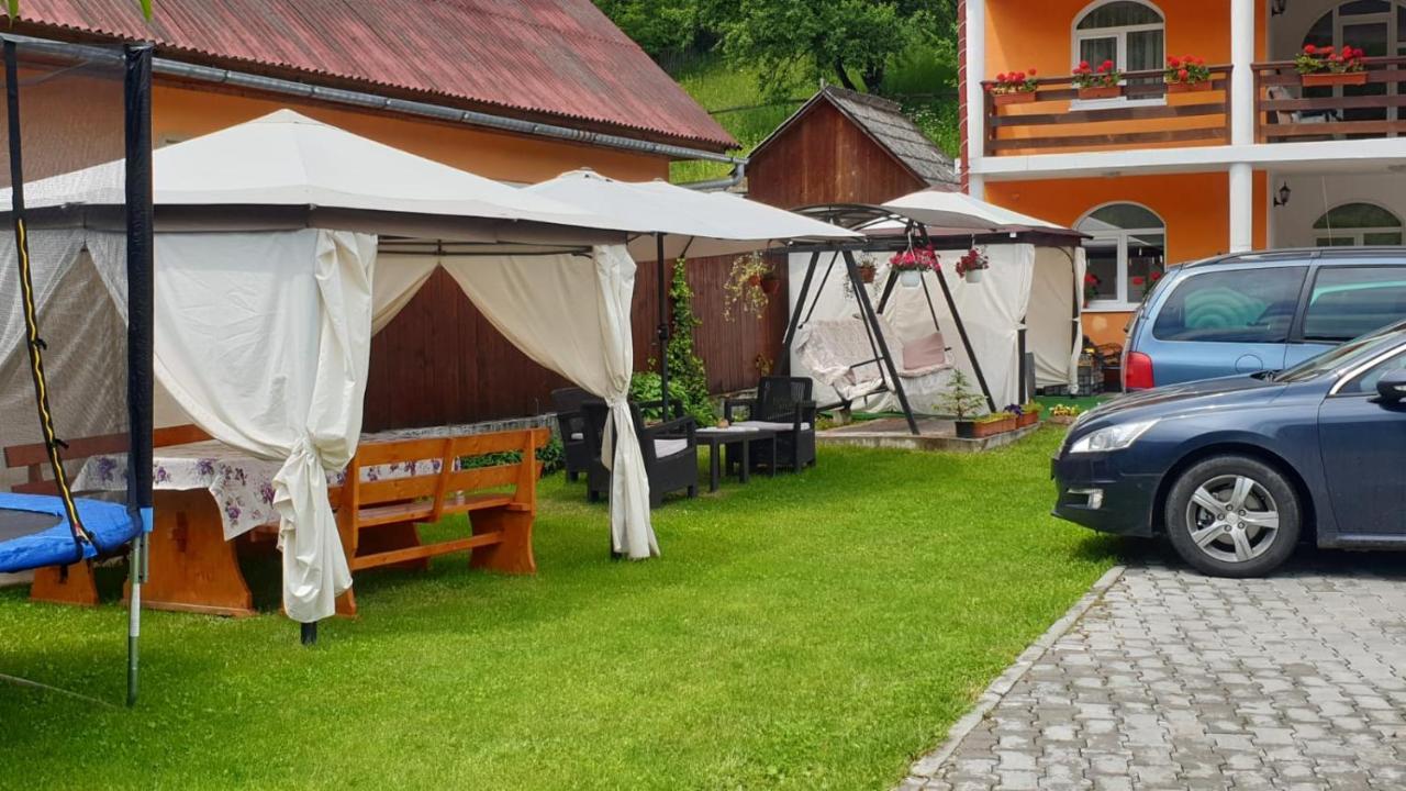 Casa Cristalina&Dumi Pension Albac Buitenkant foto