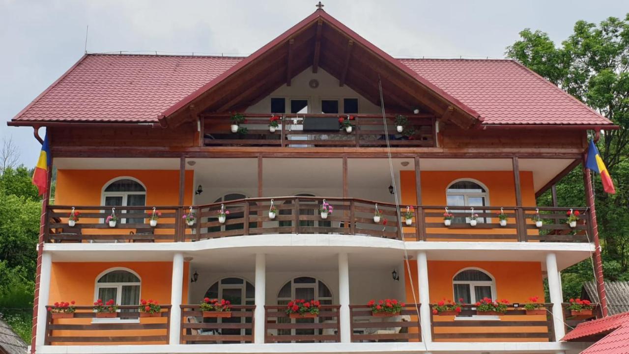 Casa Cristalina&Dumi Pension Albac Buitenkant foto