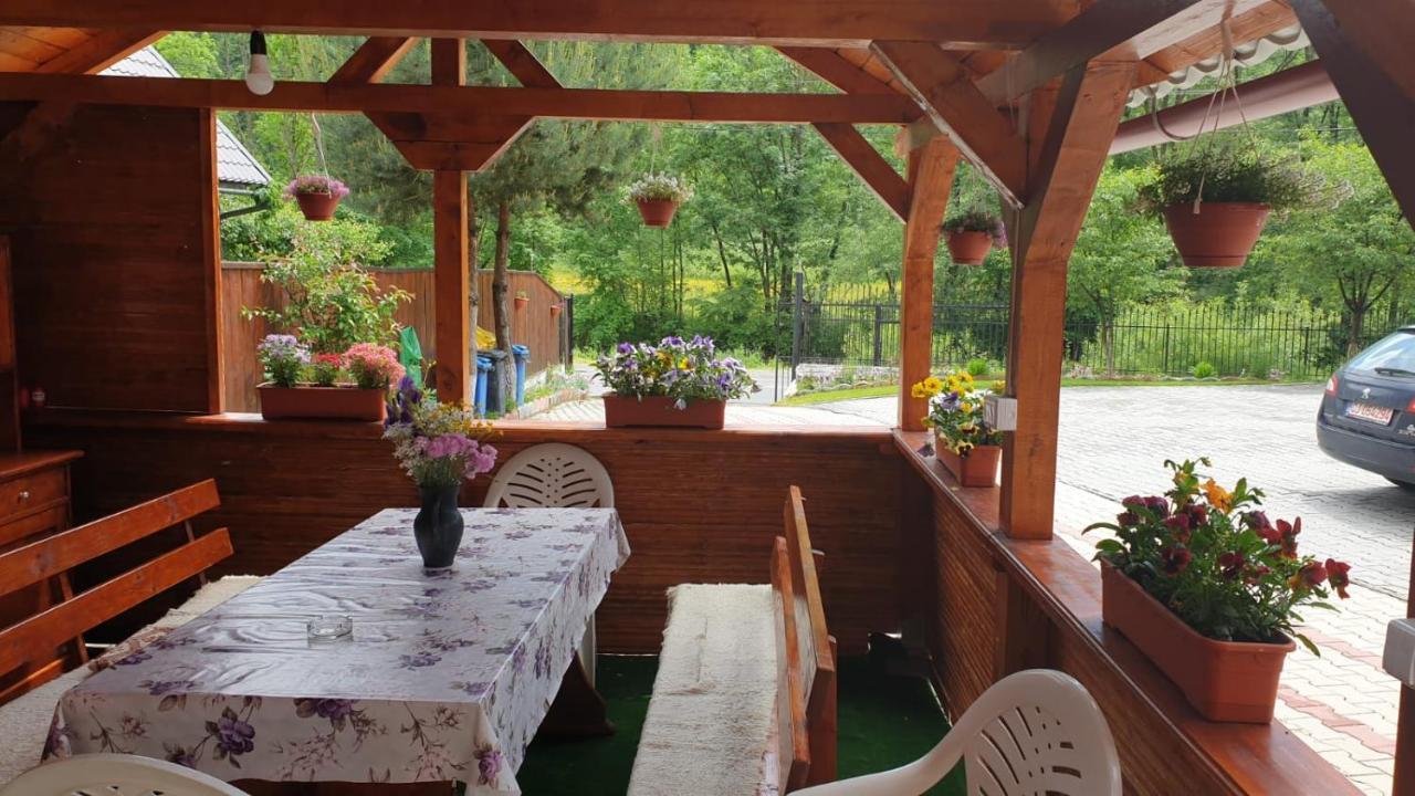 Casa Cristalina&Dumi Pension Albac Buitenkant foto
