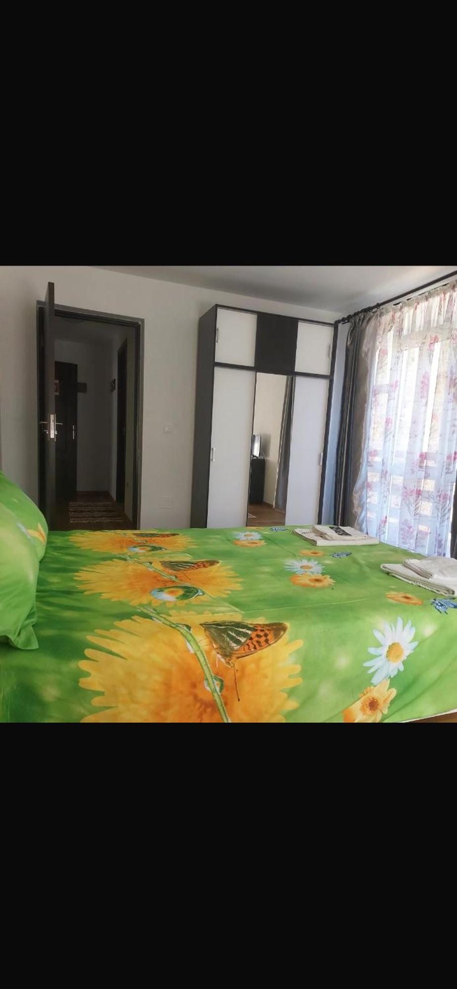 Casa Cristalina&Dumi Pension Albac Buitenkant foto