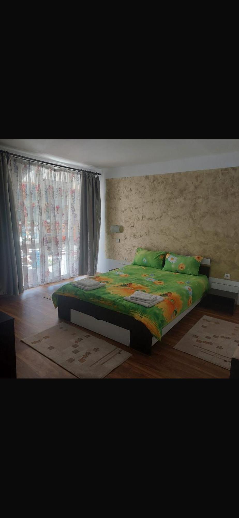 Casa Cristalina&Dumi Pension Albac Buitenkant foto