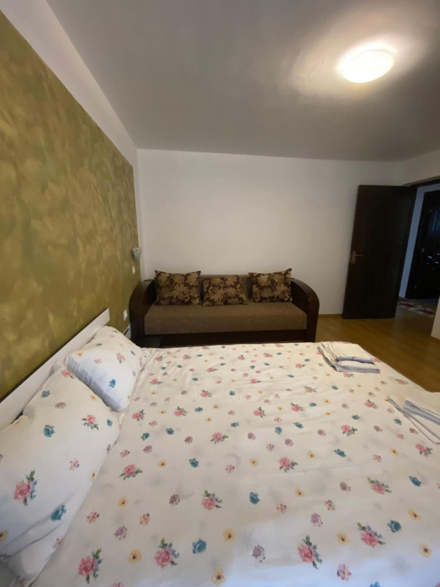 Casa Cristalina&Dumi Pension Albac Buitenkant foto
