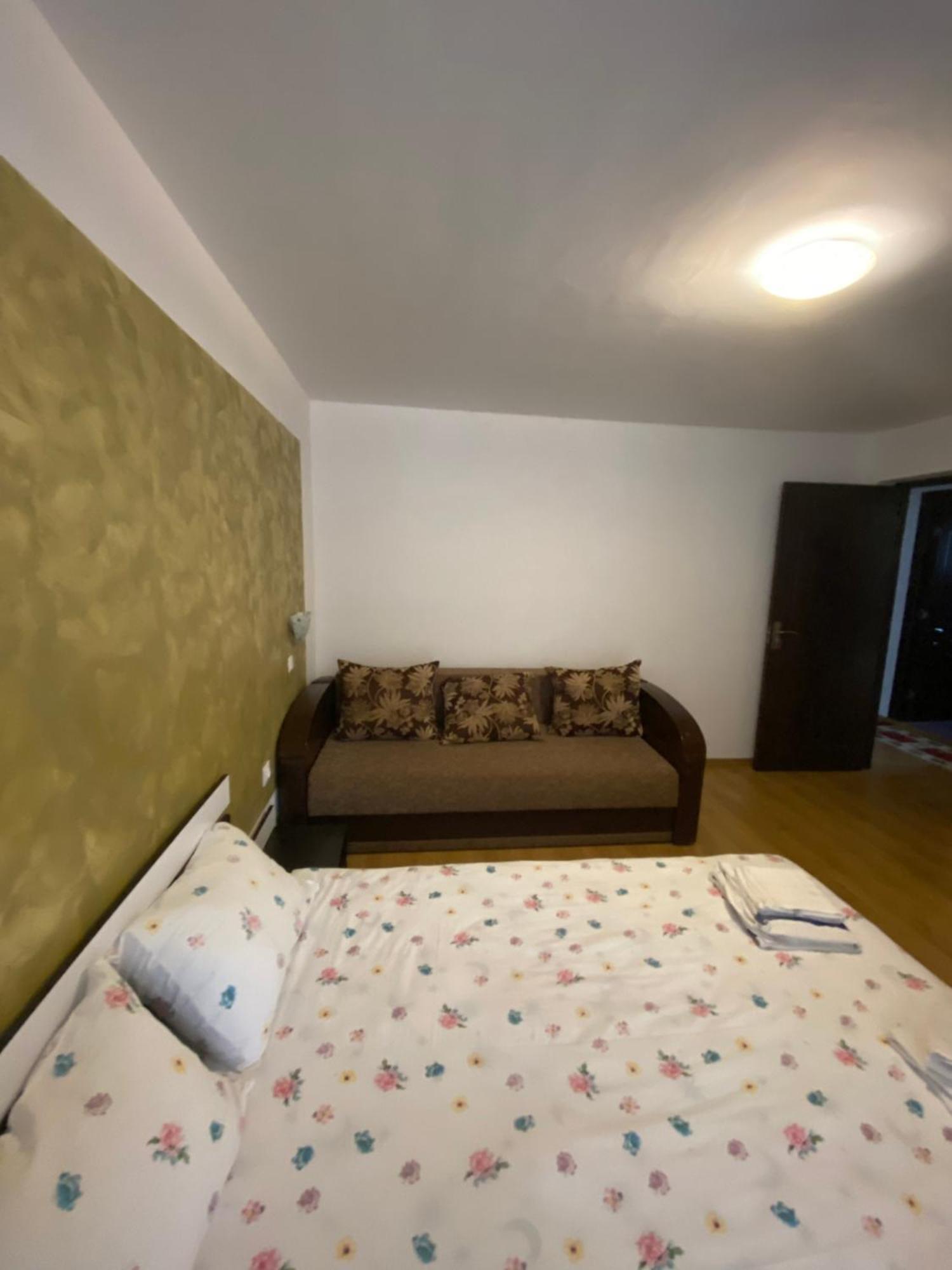 Casa Cristalina&Dumi Pension Albac Buitenkant foto