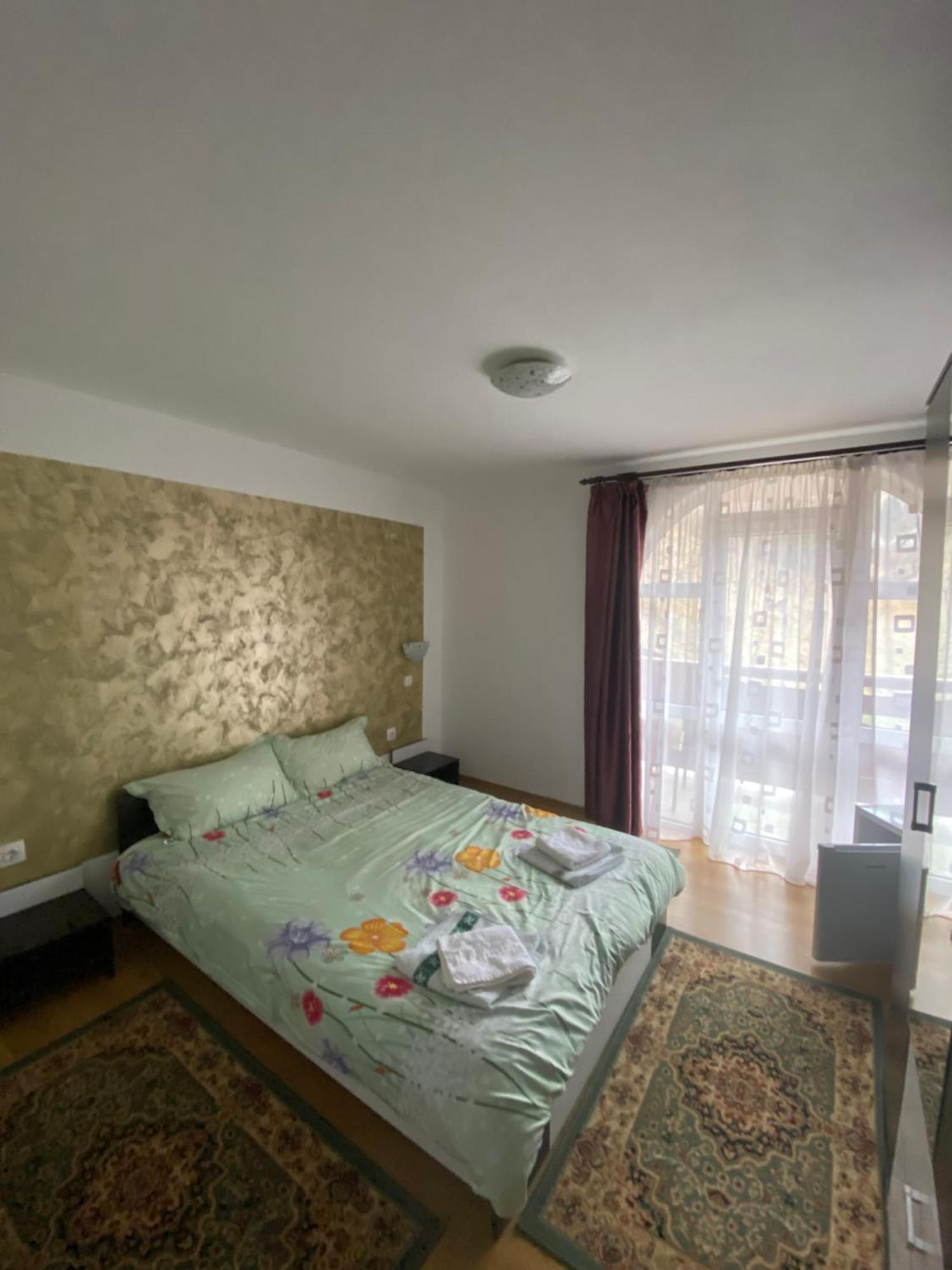 Casa Cristalina&Dumi Pension Albac Buitenkant foto