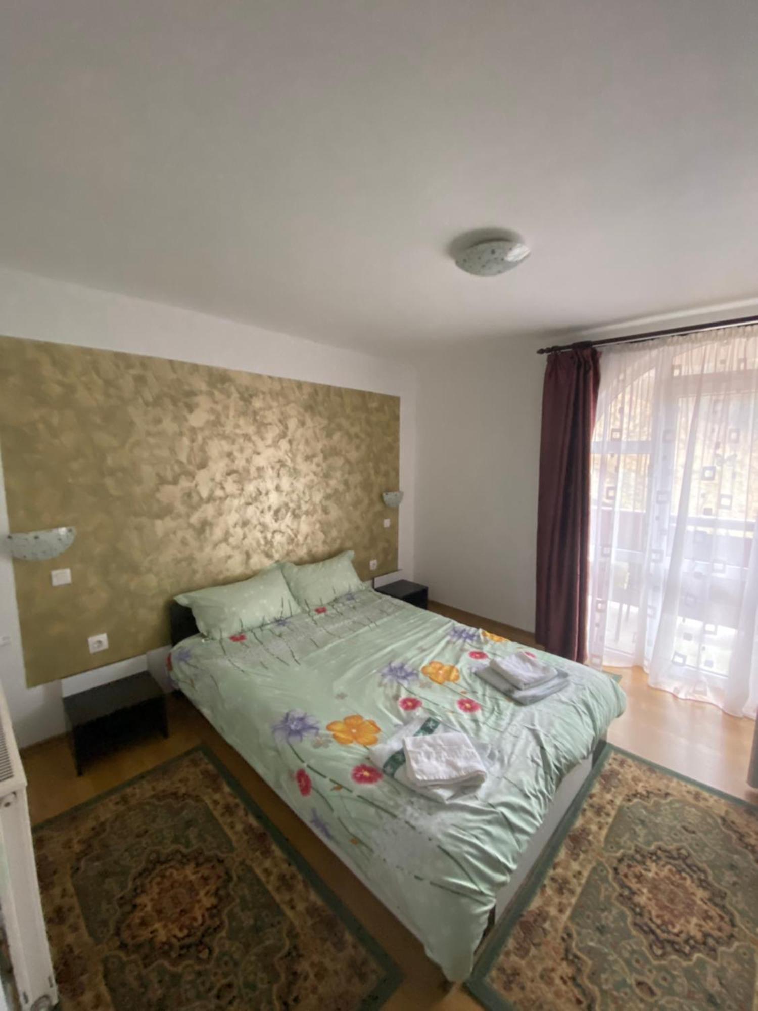 Casa Cristalina&Dumi Pension Albac Buitenkant foto