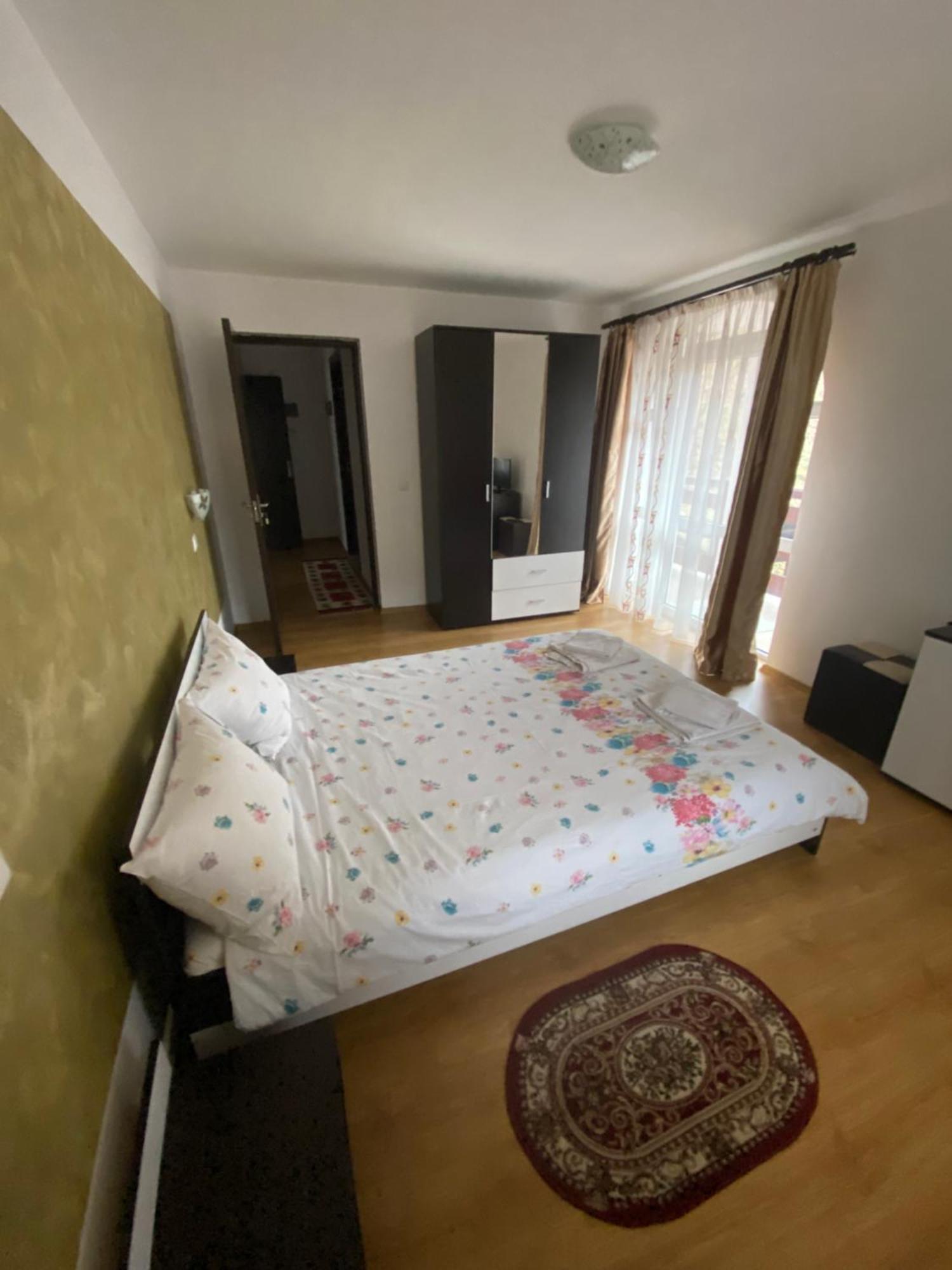 Casa Cristalina&Dumi Pension Albac Buitenkant foto