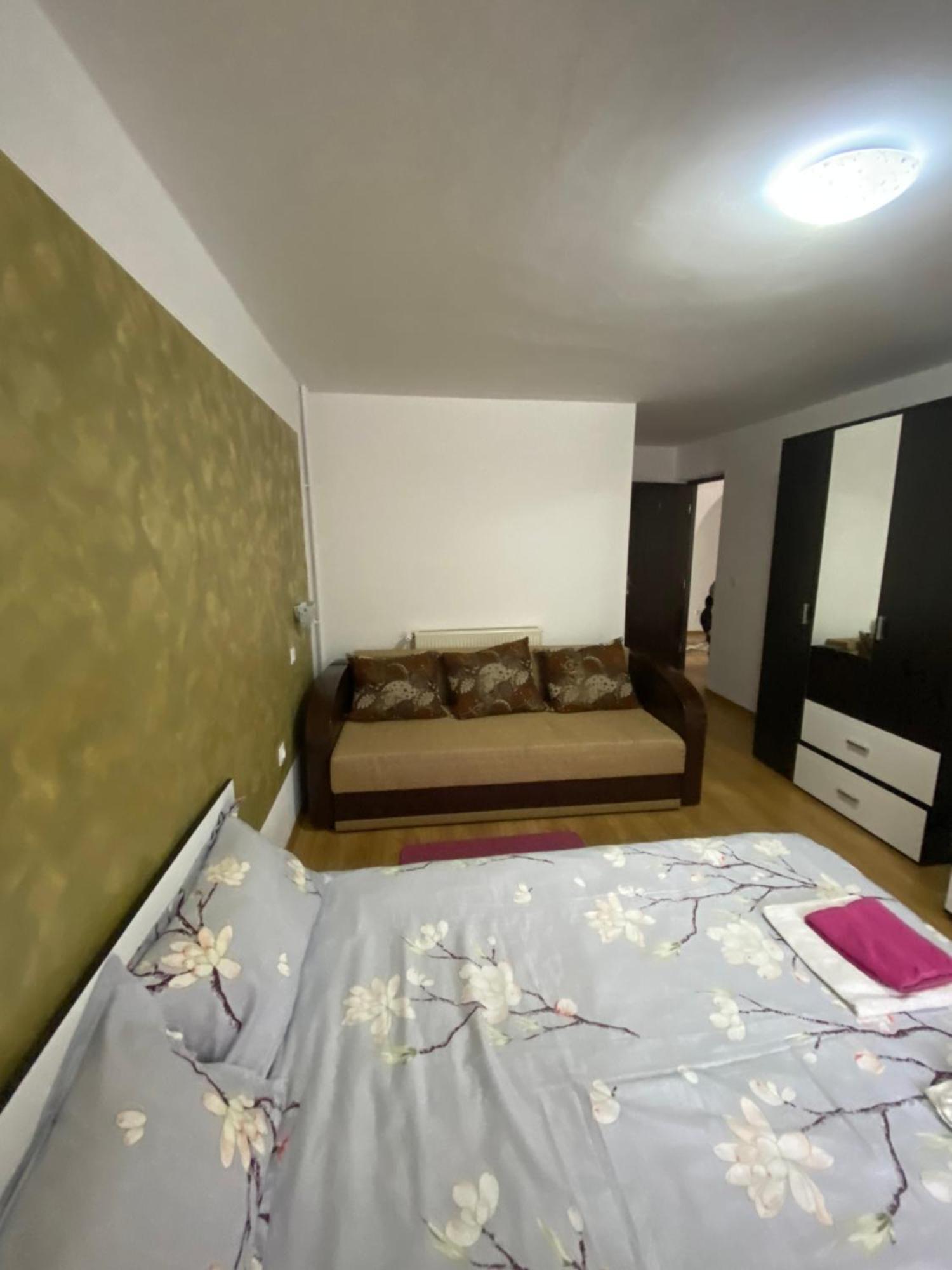 Casa Cristalina&Dumi Pension Albac Buitenkant foto