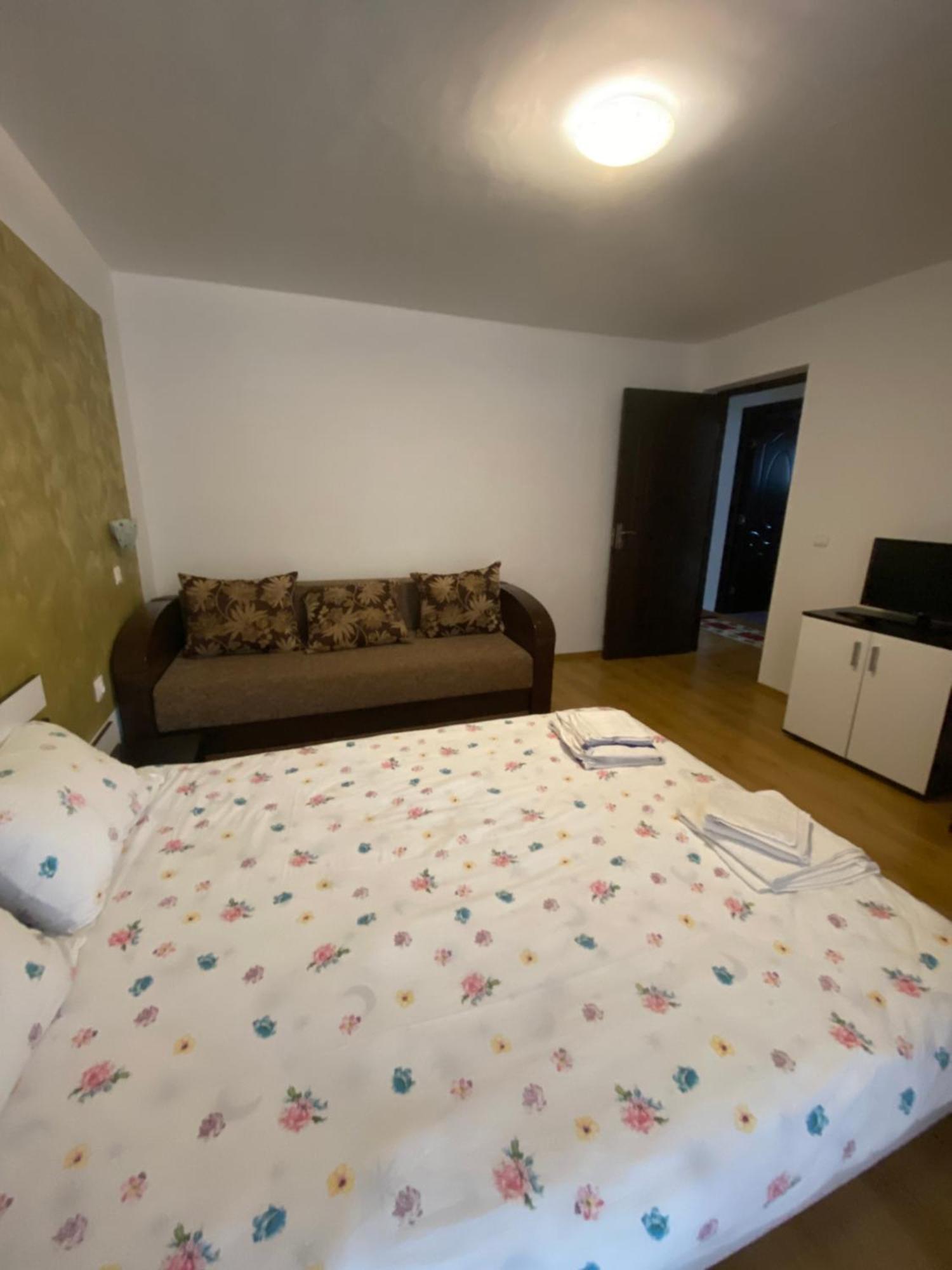 Casa Cristalina&Dumi Pension Albac Buitenkant foto