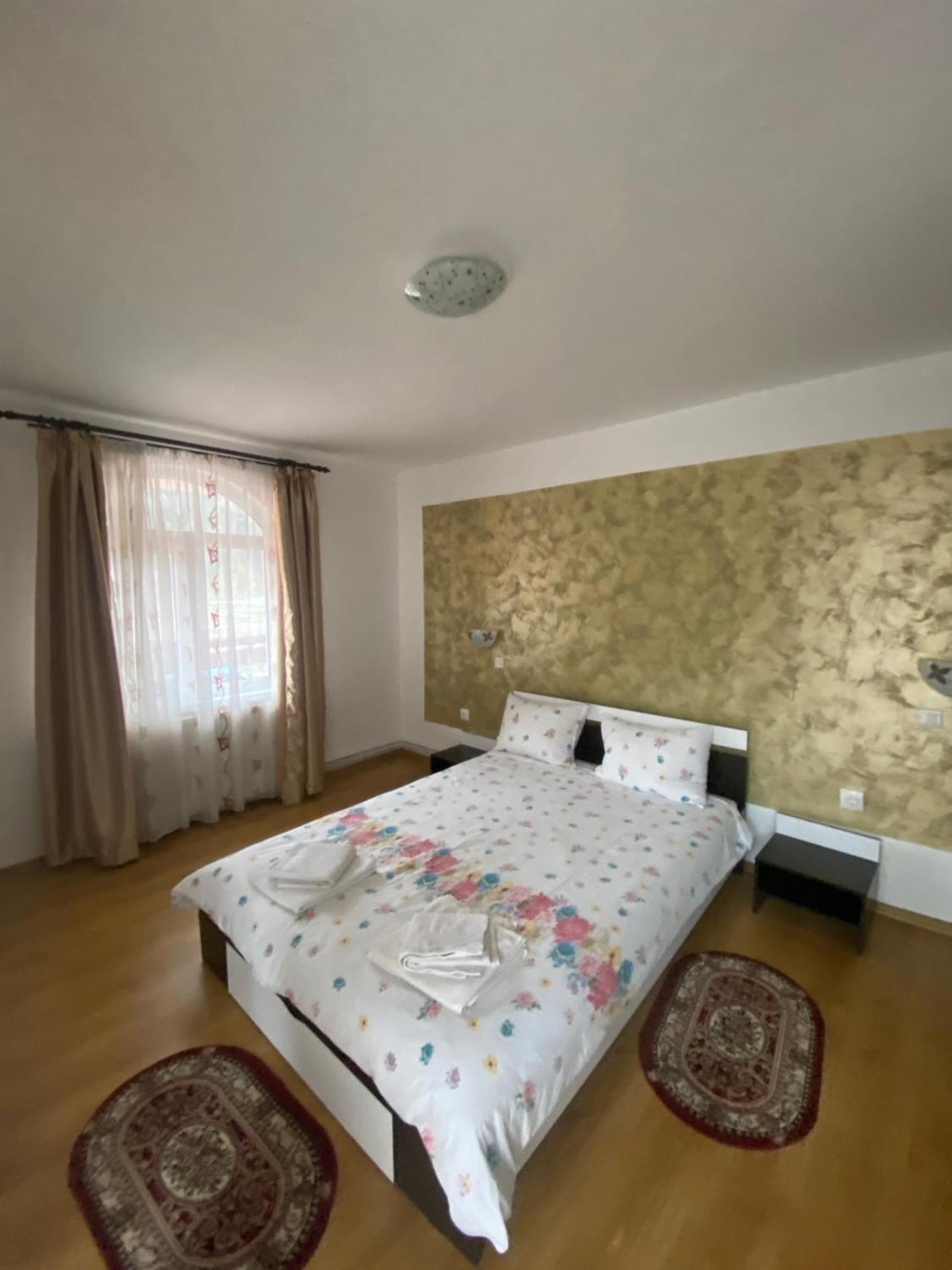 Casa Cristalina&Dumi Pension Albac Buitenkant foto