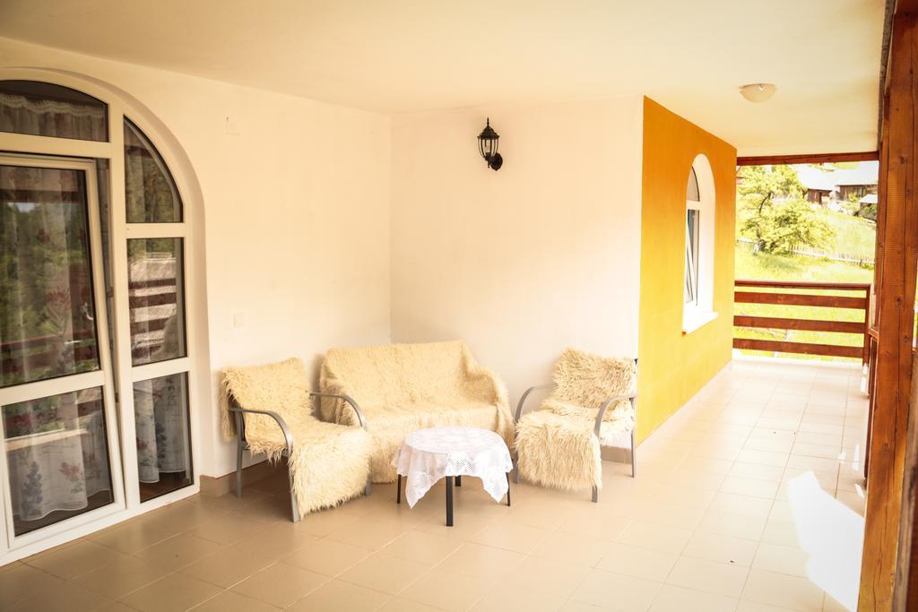 Casa Cristalina&Dumi Pension Albac Buitenkant foto